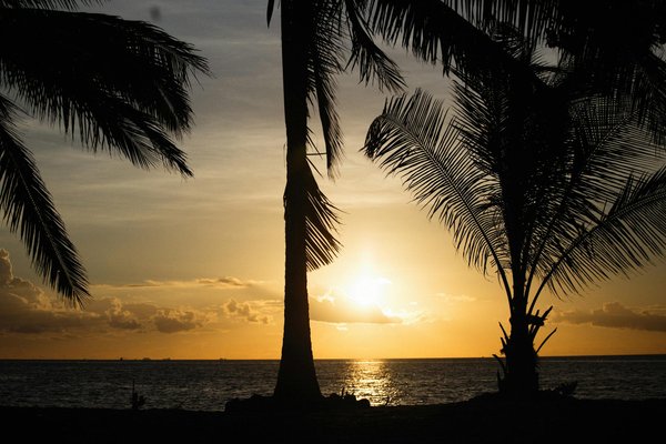 Les maisons historiques les plus étranges disponibles à la location en France